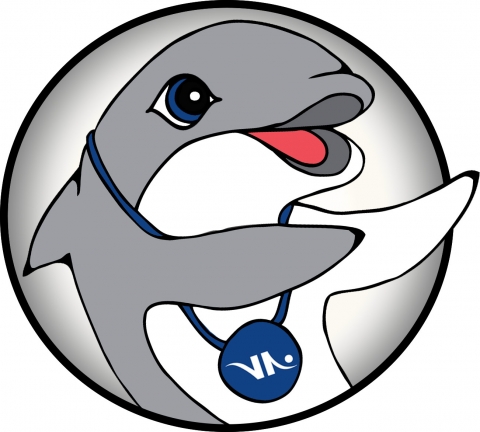 Villeurbanne_natation_dauphin_argent