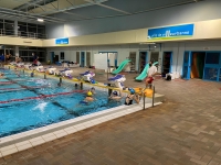 perfectionnement_villeurbanne-natation