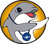 Villeurbanne_natation_dauphin_bronze